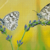 Aesthetic Couple Butterfly Diamond Paintings