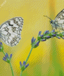 Aesthetic Couple Butterfly Diamond Paintings