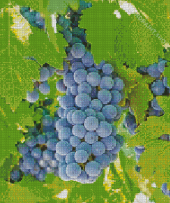 Aesthetic Grape Vines Diamond Paintings