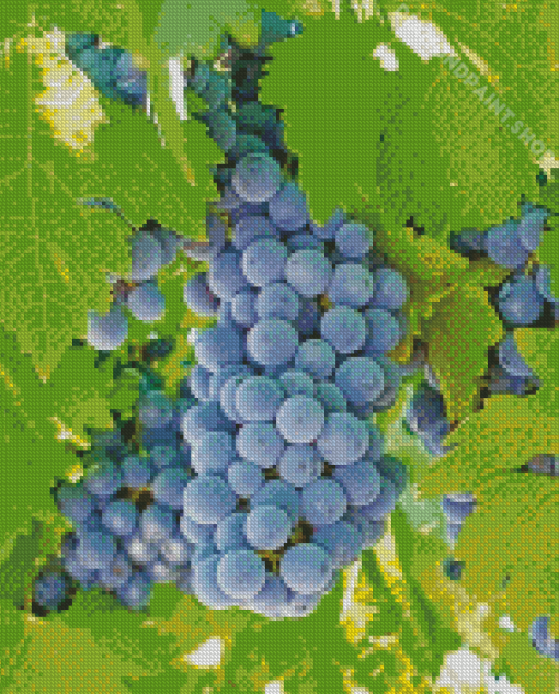 Aesthetic Grape Vines Diamond Paintings