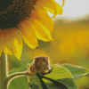 Aesthetic Sunflower With Mouse Diamond Paintings