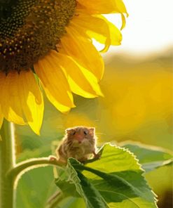 Aesthetic Sunflower With Mouse Diamond Paintings