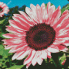 Blooming Pink Sunflower Diamond Painting