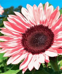 Blooming Pink Sunflower Diamond Painting