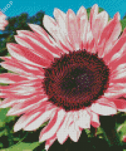 Blooming Pink Sunflower Diamond Painting