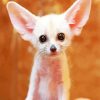 Cute Little Fennec Fox Diamond Paintings