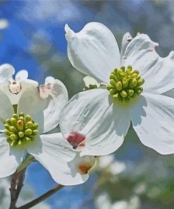 Dogwoods Diamond Paintings