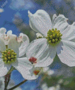 Dogwoods Diamond Paintings