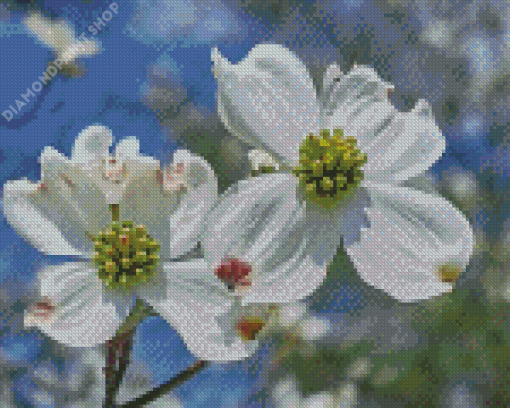 Dogwoods Diamond Paintings