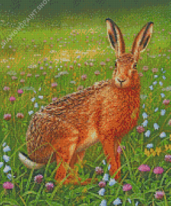 Har In Meadow Diamond Paintings