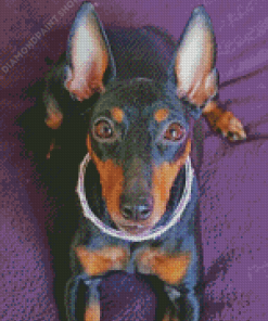 Manchester Terrier Diamond Paintings