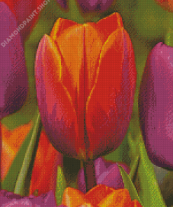 Orange Purple Tulip Diamond Paintings