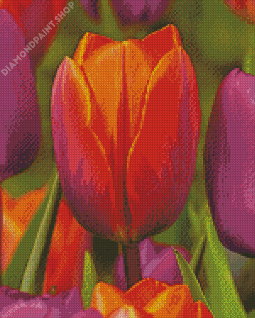 Orange Purple Tulip Diamond Paintings