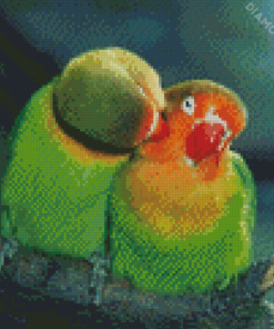 Parrot Love Bird Diamond Paintings