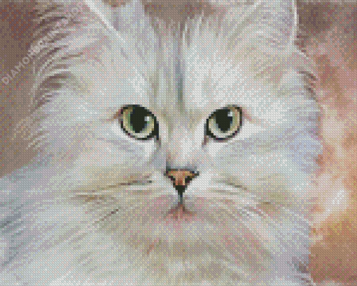 Persian Cat Diamond Painting