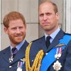 Prince William And Harry Diamond Paintings