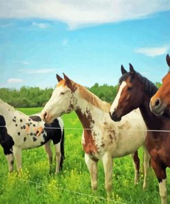 Ranch And Horses Animals Diamond Paintings