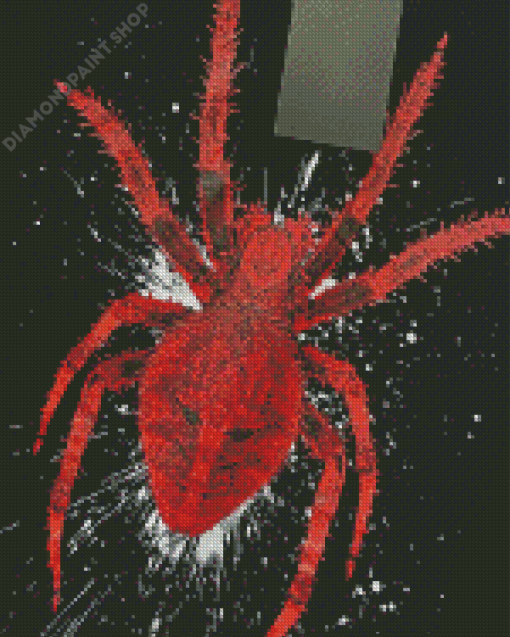 Red Spider Art Diamond Paintings