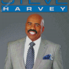 Steve Harvey Diamond Painting