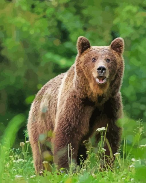 Swedish Brown Bear Animal Diamond Paintings