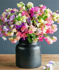 Sweet Pea Flower Illustration Diamond Paintings