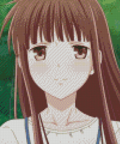 Tohru Honda Diamond Painting