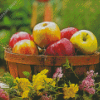 Aesthetic Apple Basket Diamond Paintings