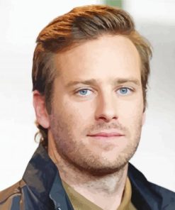 Aesthetic Armie Hammer Actor Diamond Paintings