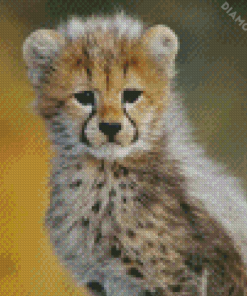 Aesthetic Cheetah Baby Art Diamond Paintings