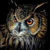 Aesthetic Long Eared Owl Diamond Painting