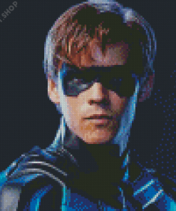 Aesthetic Nightwing Diamond Painting