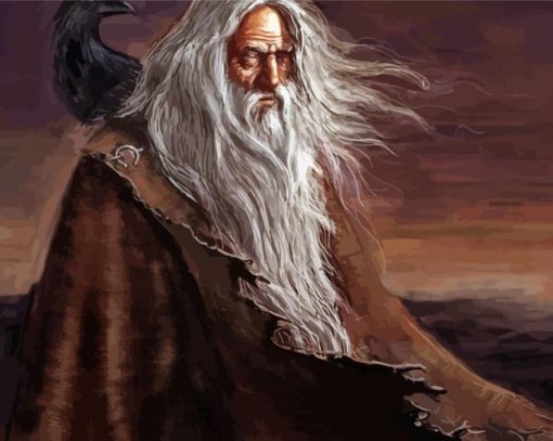 Aesthetic Odin Viking Diamond Painting