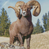 Aesthetic Ram Sheep Diamond Painting