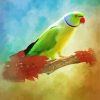 Aesthetic Ring Neck Bird Diamond Painting