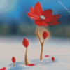 Beautiful Red Spring Flower In Snow Diamond Painting