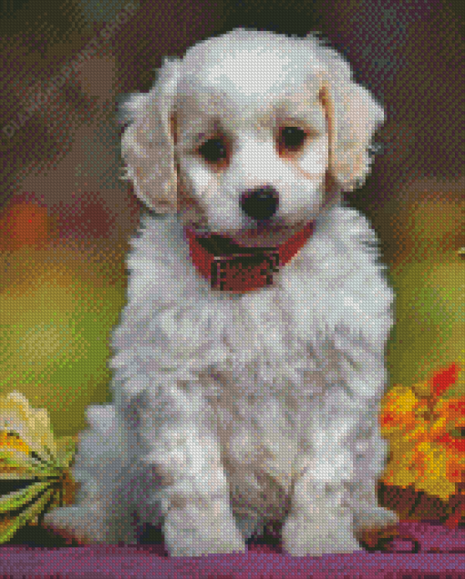 Cute Cavachon Diamond Paintings