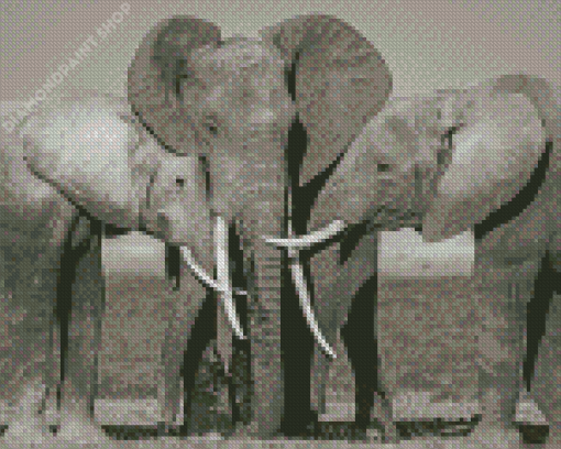 Elephants Family Snuggling Diamond Paintings