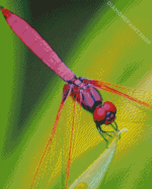 Insect Red Dragonfly Diamond Paintings