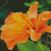 Orange Hibiscus Diamond Paintings