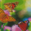 Purple Flowers With Butterflies Diamond Paintings