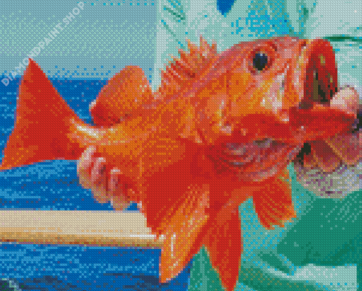 Red Rockfish Diamond Painting