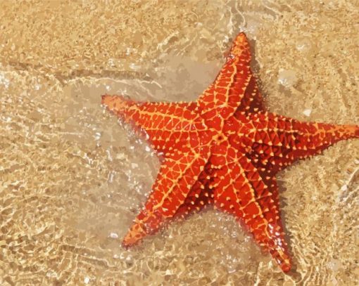 Red Starfish In Beach Diamond Paintings