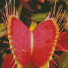 Red Venus Flytrap Diamond Paintings