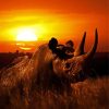 Rhino Sunset Diamond Paintings