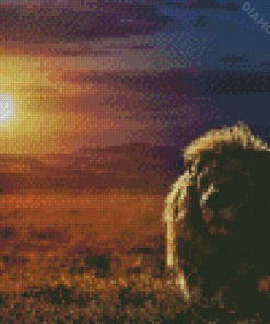 Safari Lion Sunset Diamond Paintings