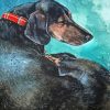 Sleeping Dachshund Dog Diamond Painting