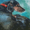 Sleeping Dachshund Dog Diamond Painting