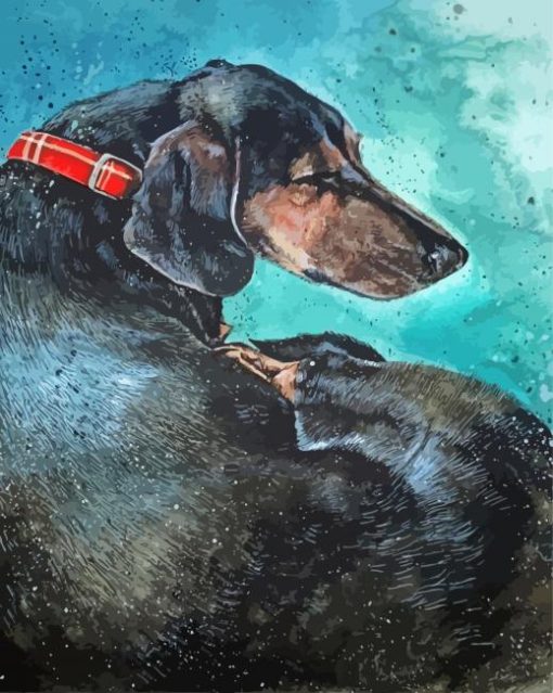 Sleeping Dachshund Dog Diamond Painting