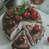 Tasty Cherry Chocolate Cake Diamond Paintings