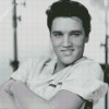 Black And White Elvis Diamond Painting